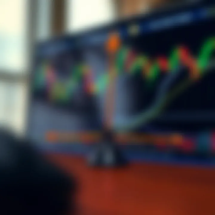 Visual representation of risk and reward scales in forex trading and binary options