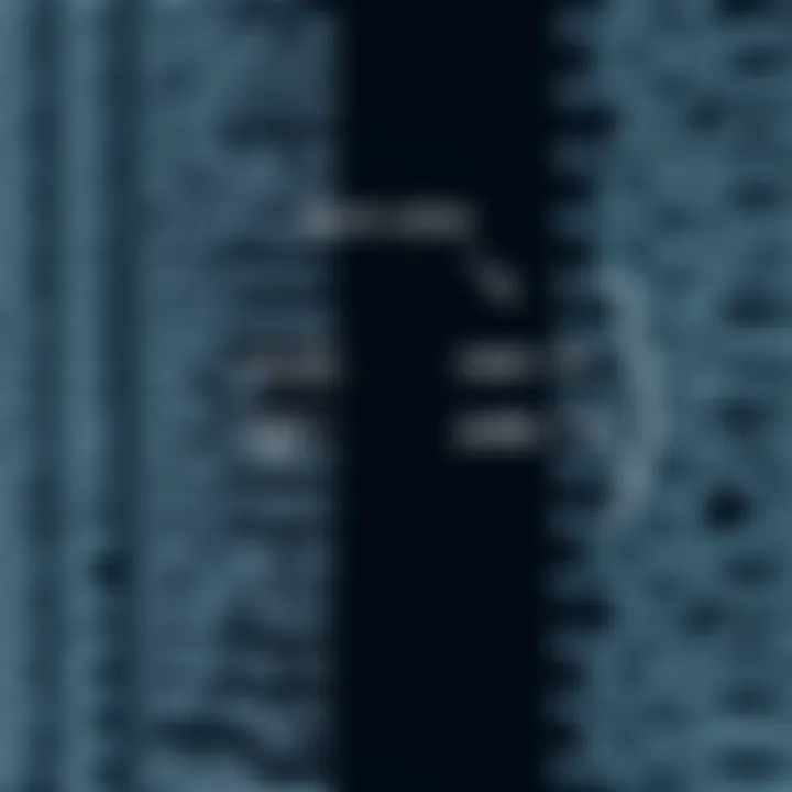 Diagram illustrating binary variables with two distinct states represented by zero and one values in a data set